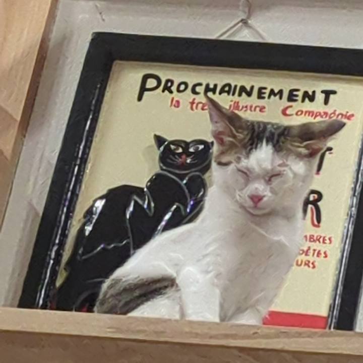 Ff85df43 21e2 4930 87a8 57a104ccc172 1766142137831