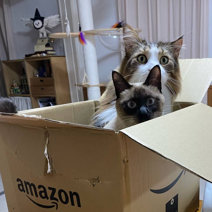 Ff862595 af56 4ade 9d56 0c3f3760b938 1730058189385