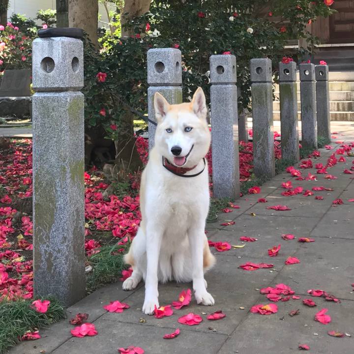 Ff86320d 80d6 4fde 84b5 d94309a55bb8 1522204942507