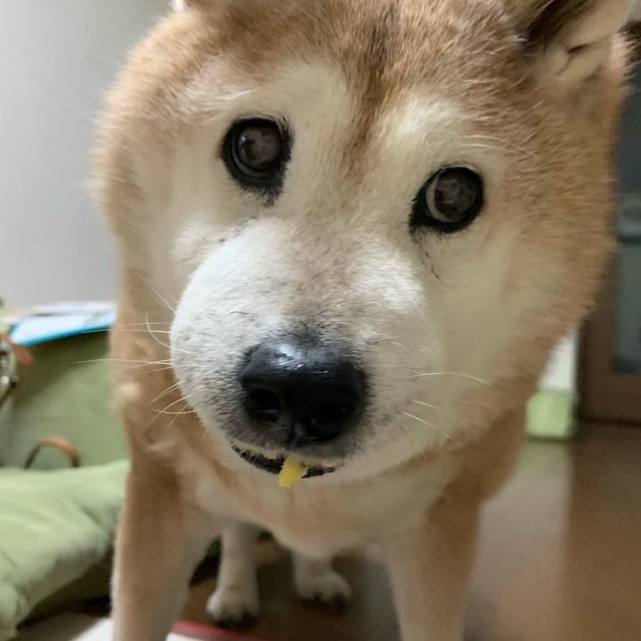 Ff864fad 717c 4001 b98f a349b1388e1c 1643887111865