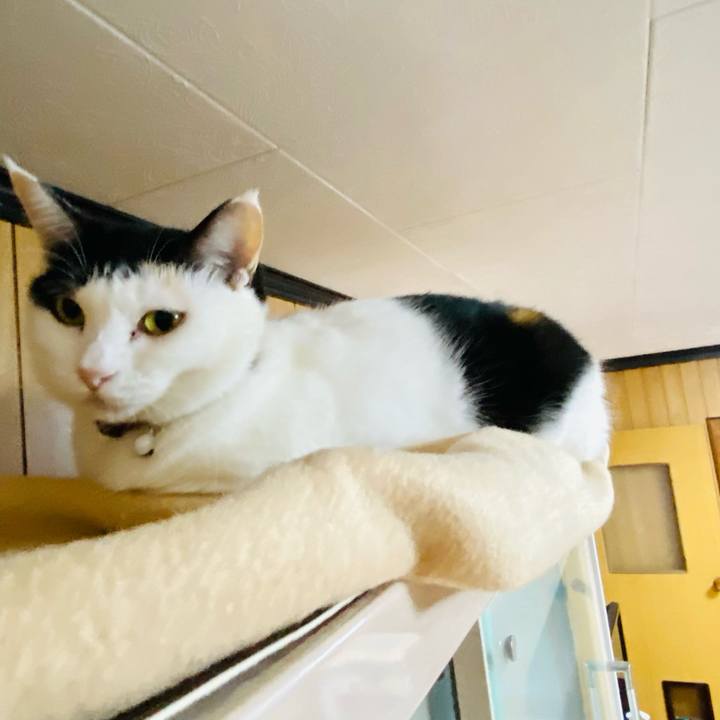 Ff867460 918c 41fe a45c 96261329aa05 1665575570086