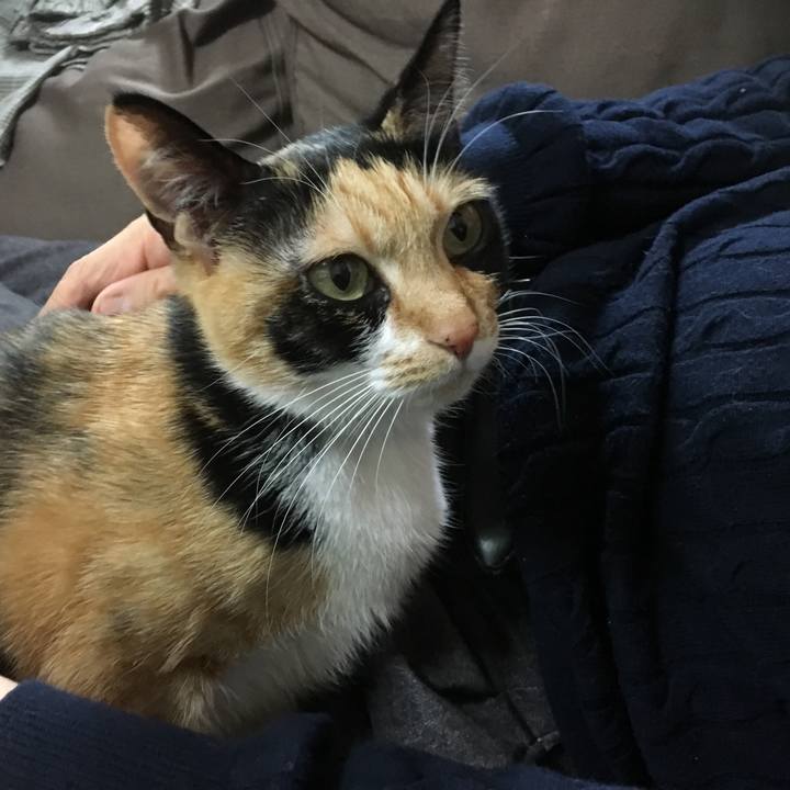 Ff86b486 096f 437f b243 2627be7939df 1513854355521