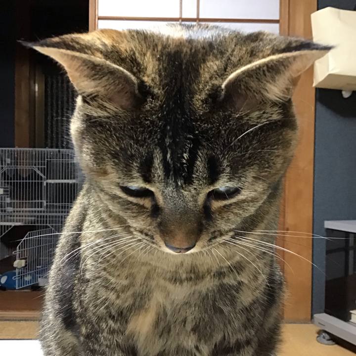 Ff86c3ad 2b2d 4a75 b167 0c0a7bfaab42 1697542264795