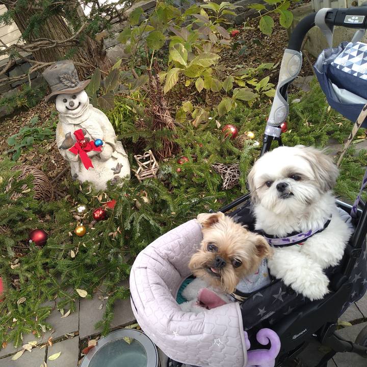 Ff86c846 1fc7 4d89 affc 4ea922d3c2d8 1669201688059