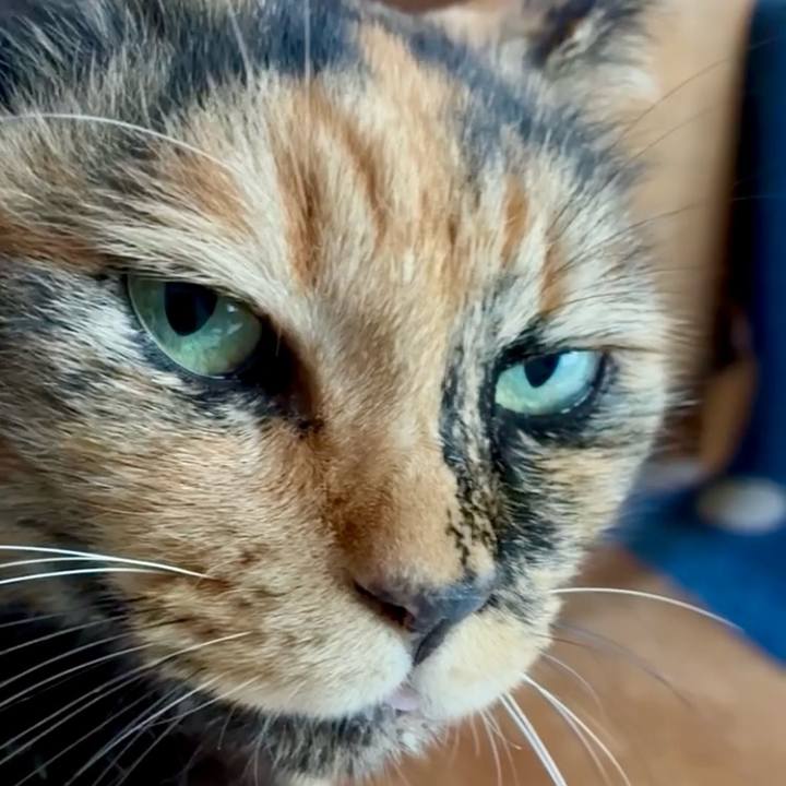 Ff86e68a 49c8 4f27 9a1a 61d759bf6ecf 1760927154682