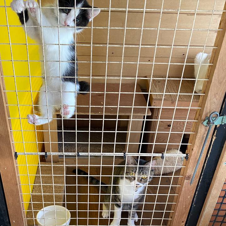 Ff86f783 9362 4825 bb7c db3b577a9bb8 1653787421683