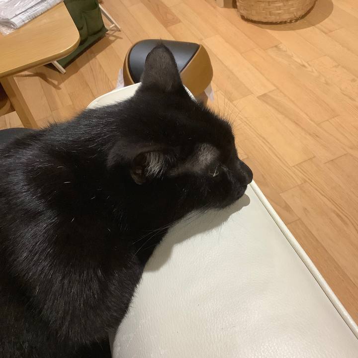 Ff8702ff 4be9 4a25 9005 96b9b1ac056f 1572358581073