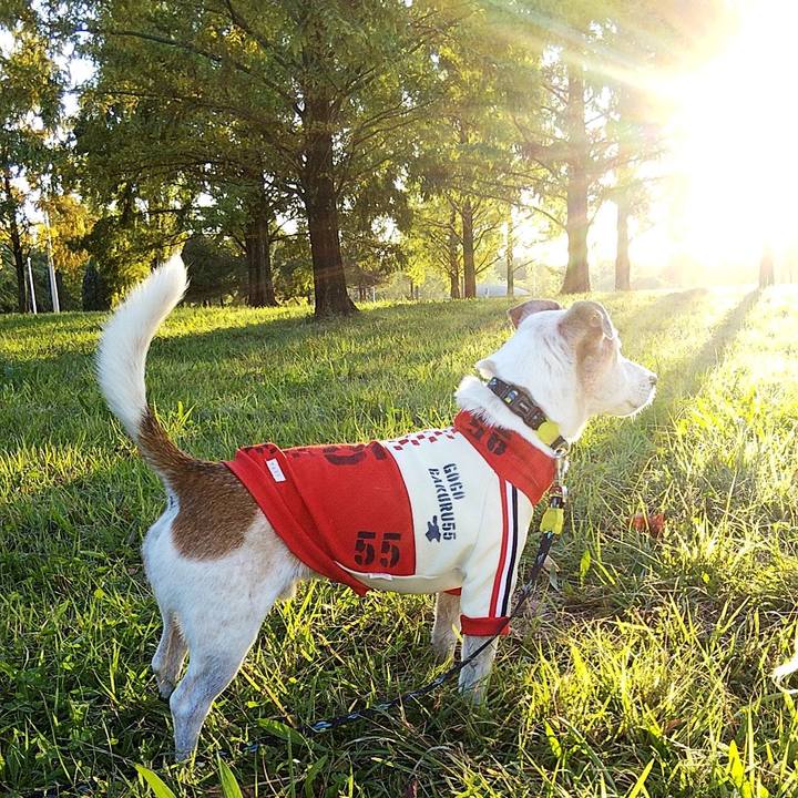 Ff873daf 3720 4b1e b3c4 3dfd7df390df 1572687960525