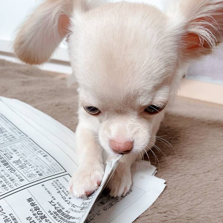 Ff8750ec 33a8 47b2 b2d2 26d4892f7a3d 1594354735901