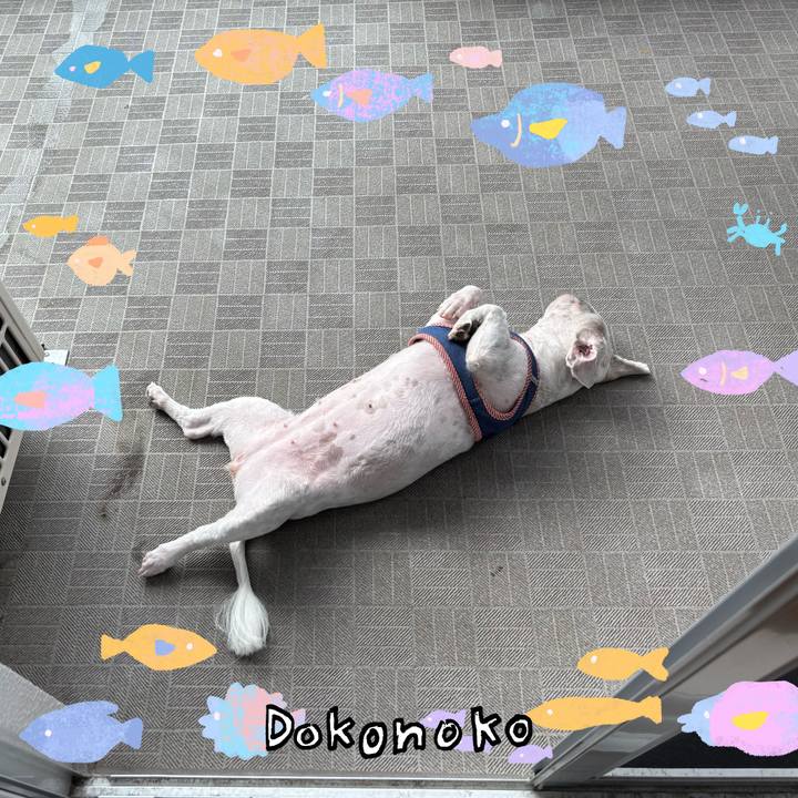 Ff87526c 5462 4dec a445 bef0aa19f509 1755129912882