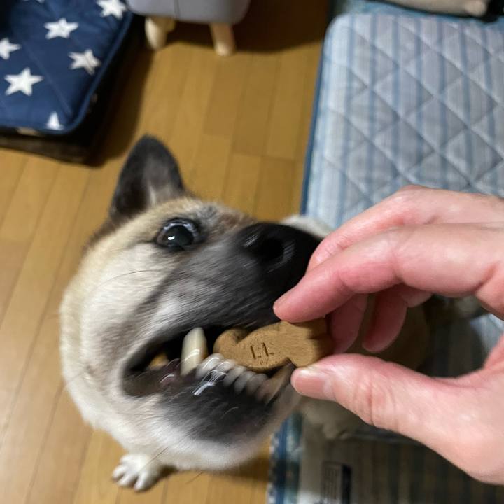 Ff876585 79b7 49c7 ba43 c6654c290a6a 1720183394524