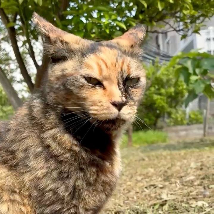 Ff877b14 f428 4b03 a422 3863b55729e7 1748400595179