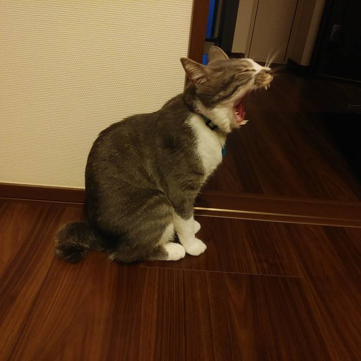 Ff87ae82 8afa 4919 a157 e10f5ed825cc 1589881477681