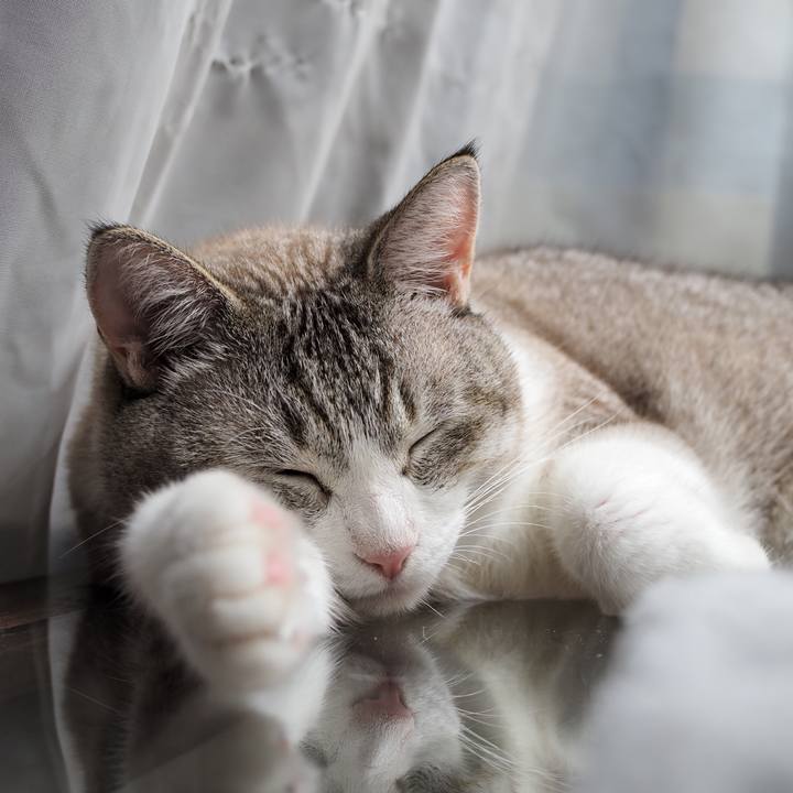 Ff87b653 fdc4 4a6a 9709 0217d81be88a 1598591069976