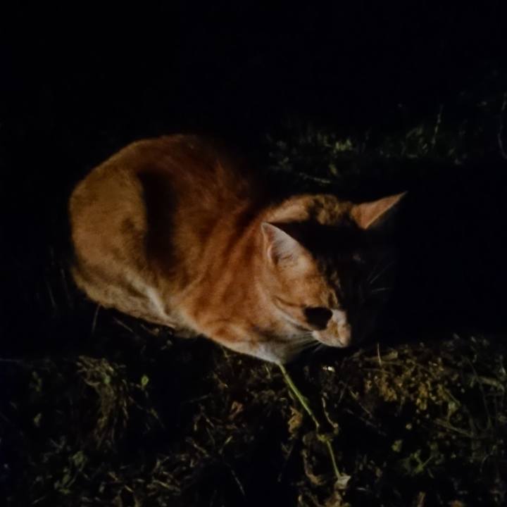 Ff87d169 2f68 48d8 8363 b1b79d96844d 1591271166552