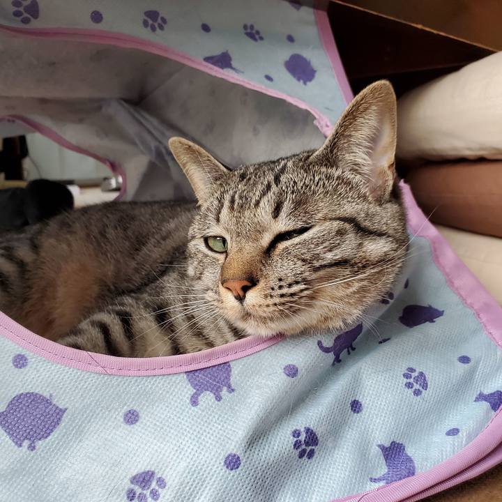 Ff87d403 d2cc 47b3 814b 8ccc3ae28504 1713583104020