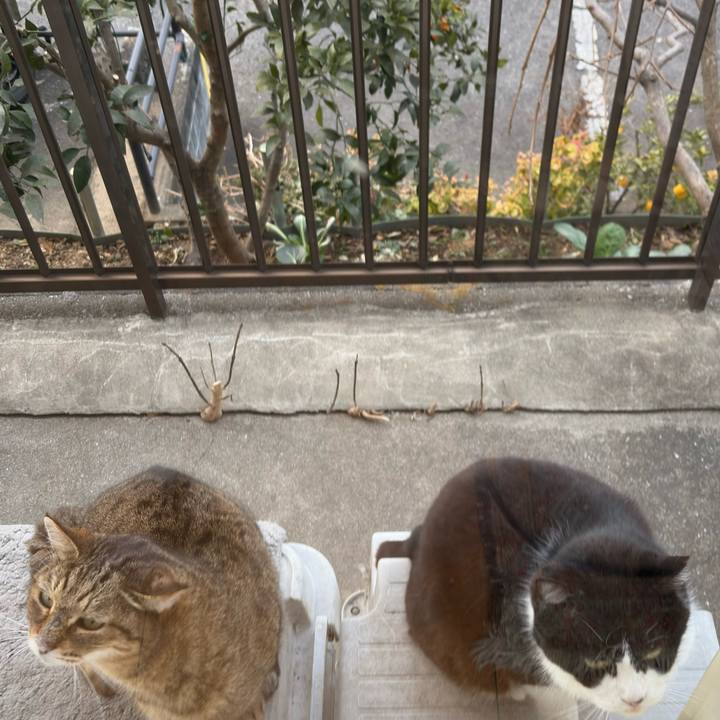 Ff87deb1 7e4a 4316 85e3 b52c2f0ded7f 1770940130511