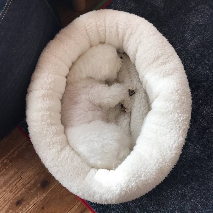 Ff87e061 f7f4 4c53 9ae5 b58a818b4525 1543277896989