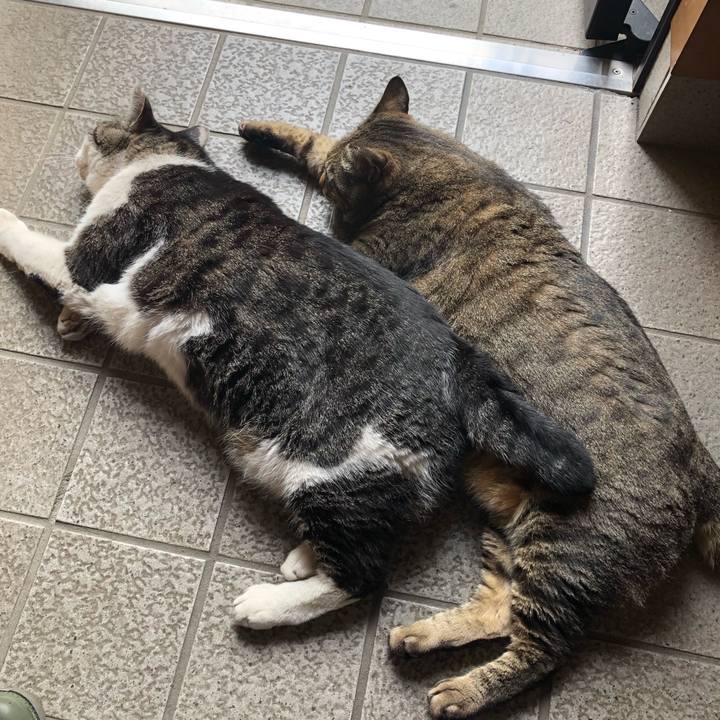 Ff880778 8fd5 4cf2 8e88 e68b40579789 1558868607318