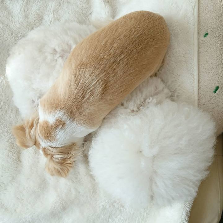 Ff880e11 97d9 40c1 929f 289daf8349a2 1511310380957