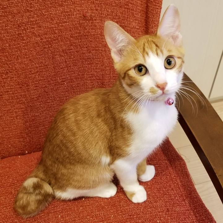 Ff88193c 63fe 4d16 808c 30a093a65aa9 1509875099713