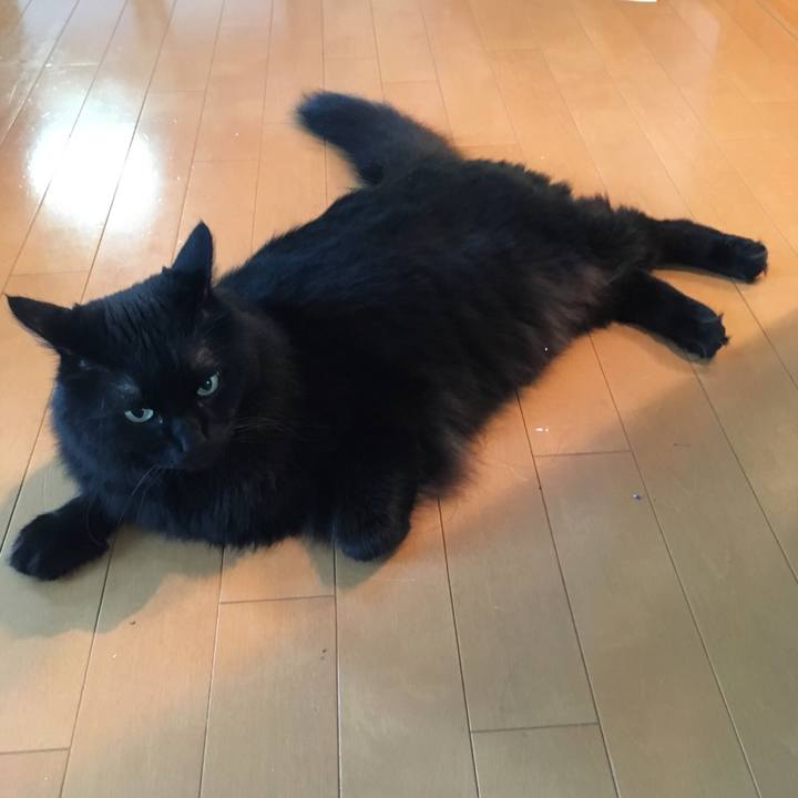 Ff88493c c8c3 4bdf 8cfb 2598cc72aea2 1531436204790