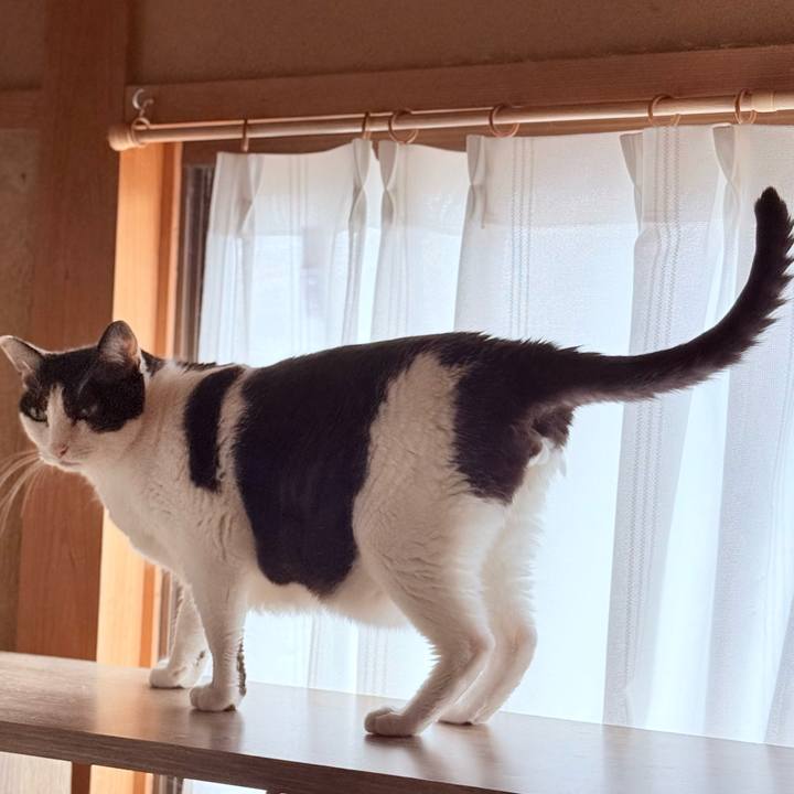 Ff88731e bda4 4c59 a254 7d645f4d5e00 1758503924702