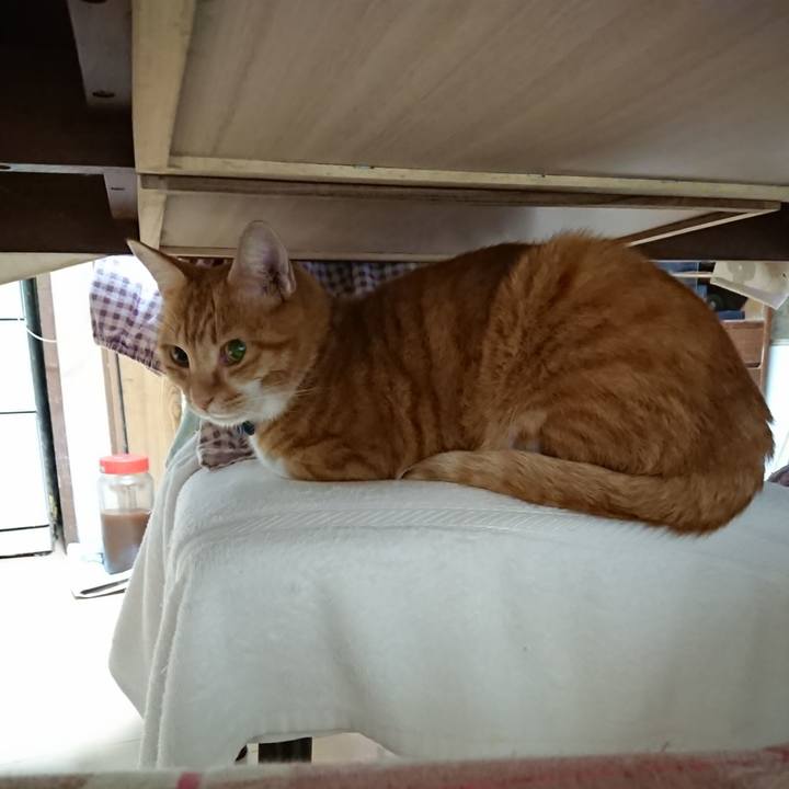 Ff8877f4 6264 42c9 bd34 e1ba4de7f77a 1601238488121