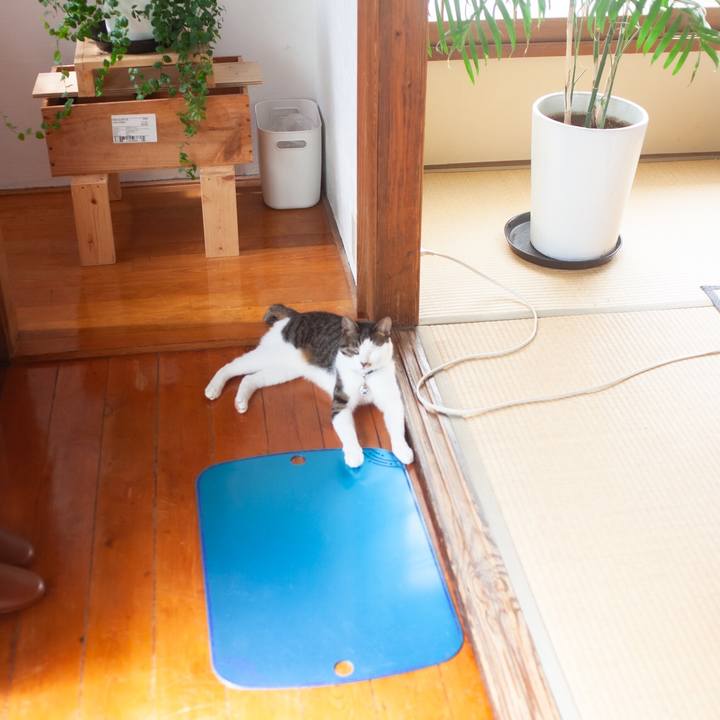 Ff887b3a 82af 4de9 adbe 78d35aa437b3 1598508277249