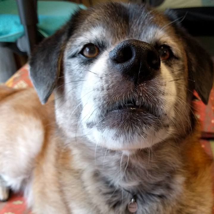 Ff88d505 36d0 4d23 9230 185d37eb339d 1534745452736