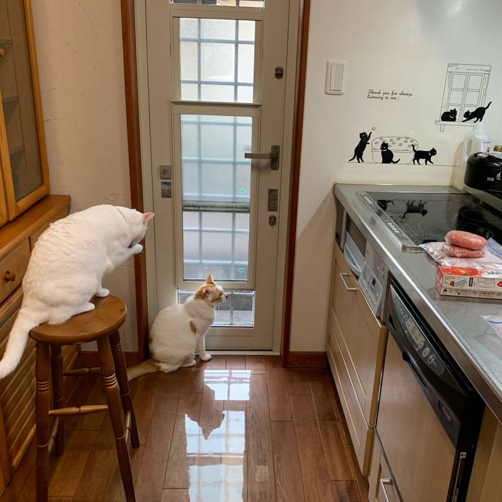 Ff89018f c360 4d6e bbfd 48d96206cb8b 1633559934686