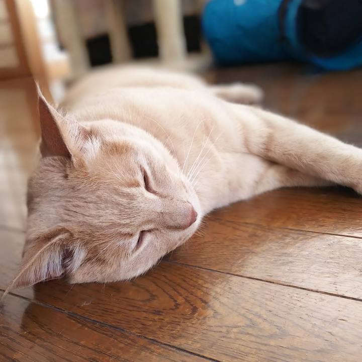 Ff890849 3e44 4c34 bba2 a51aad37b2fb 1623978008090