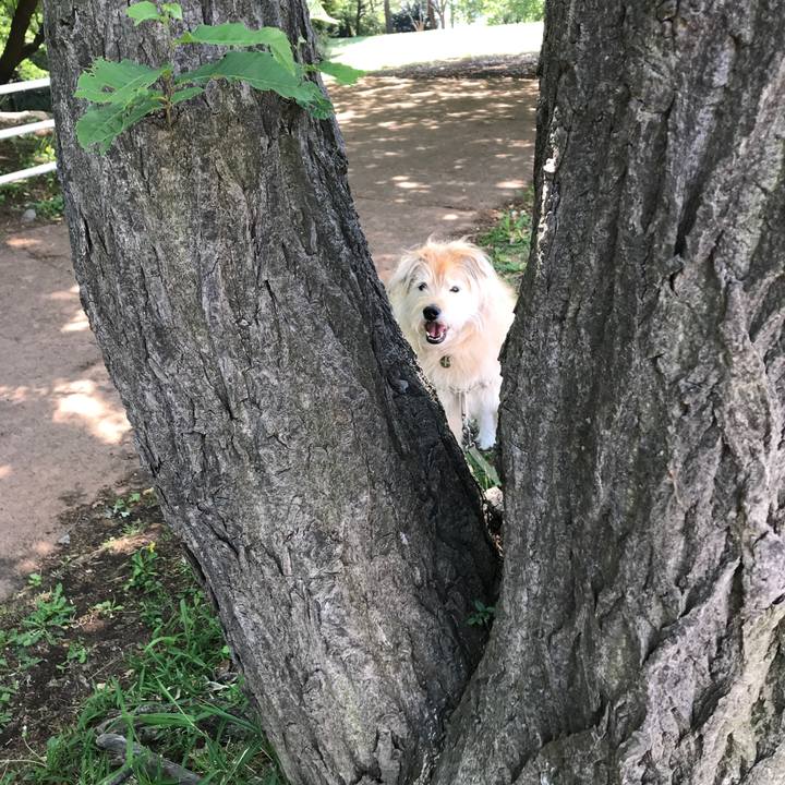 Ff890b4d b7c1 4fb7 a7fb 5d64ca1c9089 1619112116783