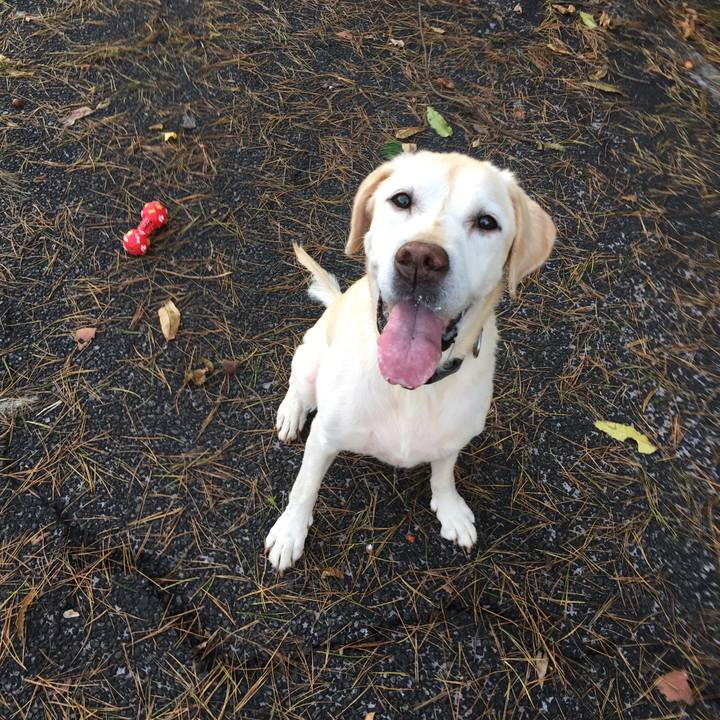 Ff89152d 737d 42af 98b9 ab24373c6305 1547299263738