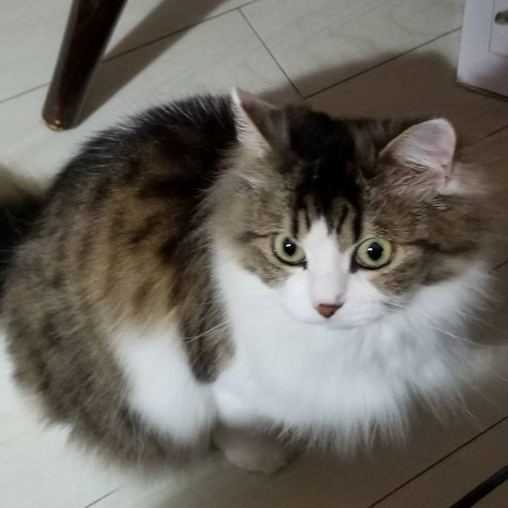 Ff893150 a429 407f 8a1b a19ddd10548b 1562751560875