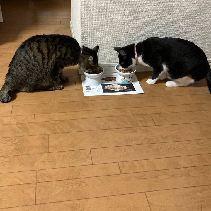 Ff89e359 505e 4560 815f 9bf2524319e8 1615604659705