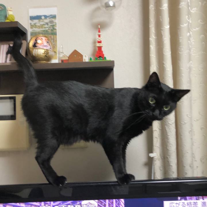 Ff89f7a1 39da 4acf 8519 0aaef5386daf 1601651363079