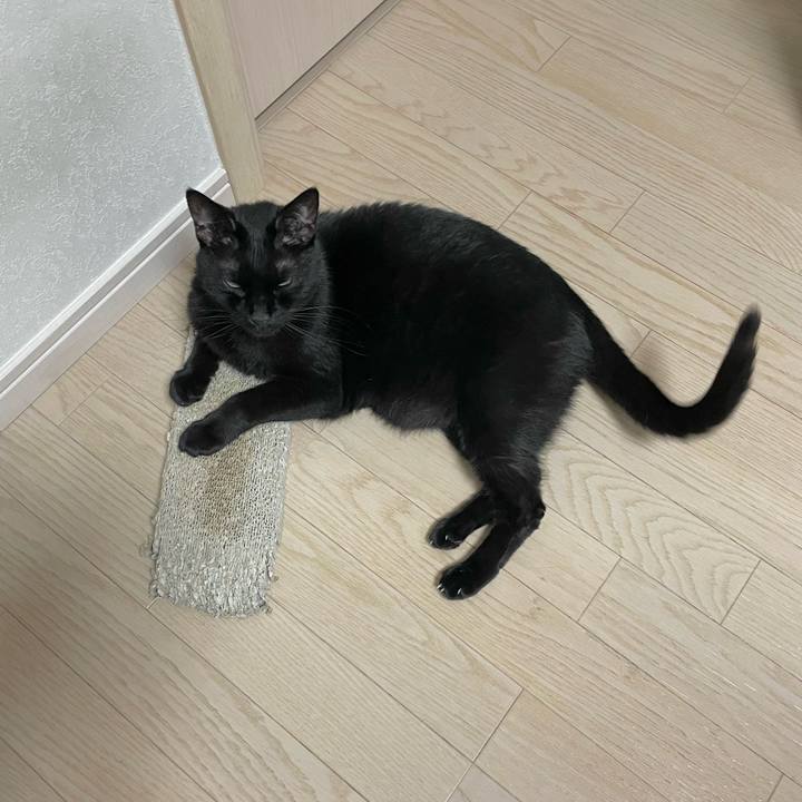 Ff89ff7b cfa7 4d72 8d58 225f2e44c39f 1652589161701