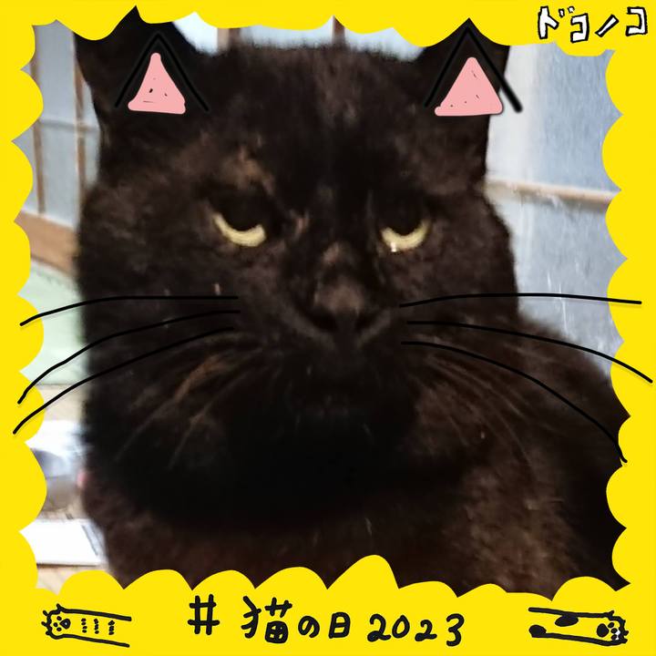 Ff8a4600 e81f 4486 866b cf16d626a116 1677027931478