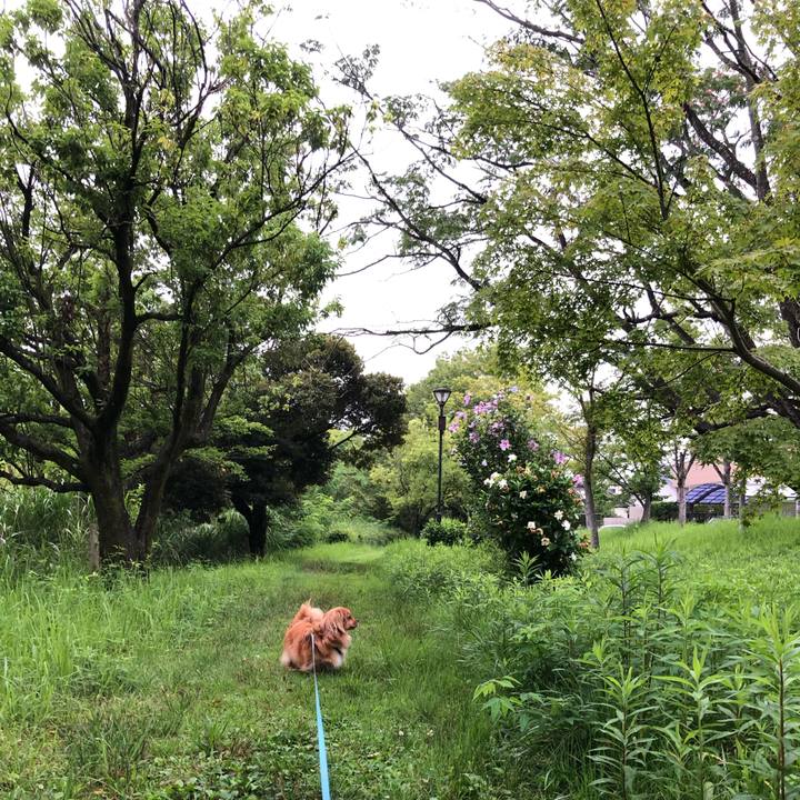 Ff8a7b75 fd08 4d9b addf 8401d7e80f7e 1562715547789