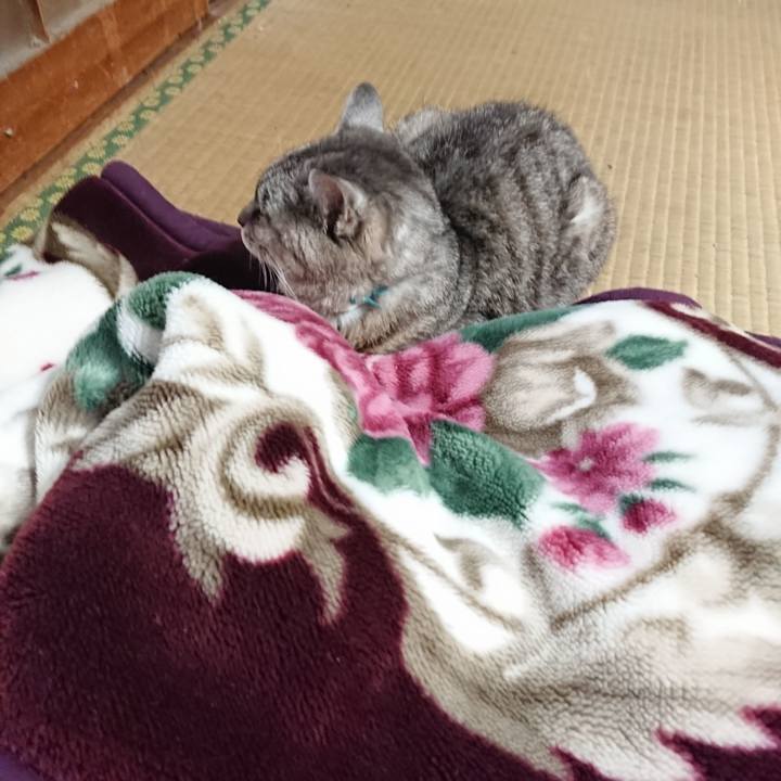 Ff8af211 de36 4644 b474 491cc6500c07 1571470292991