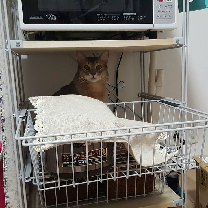 Ff8b30ee 3812 4433 be10 39f772cd9c66 1550232174582