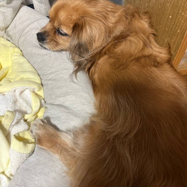 Ff8b5545 483a 4bc5 ae24 c8ac3299eb84 1696972791340