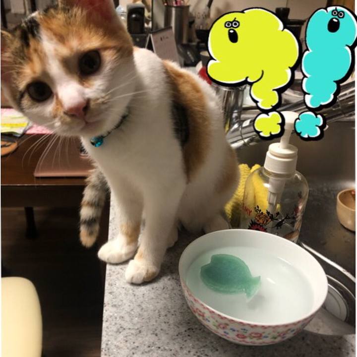 Ff8b7c78 4ee2 4f8d 8b5b ce835eadff6f 1568208583122