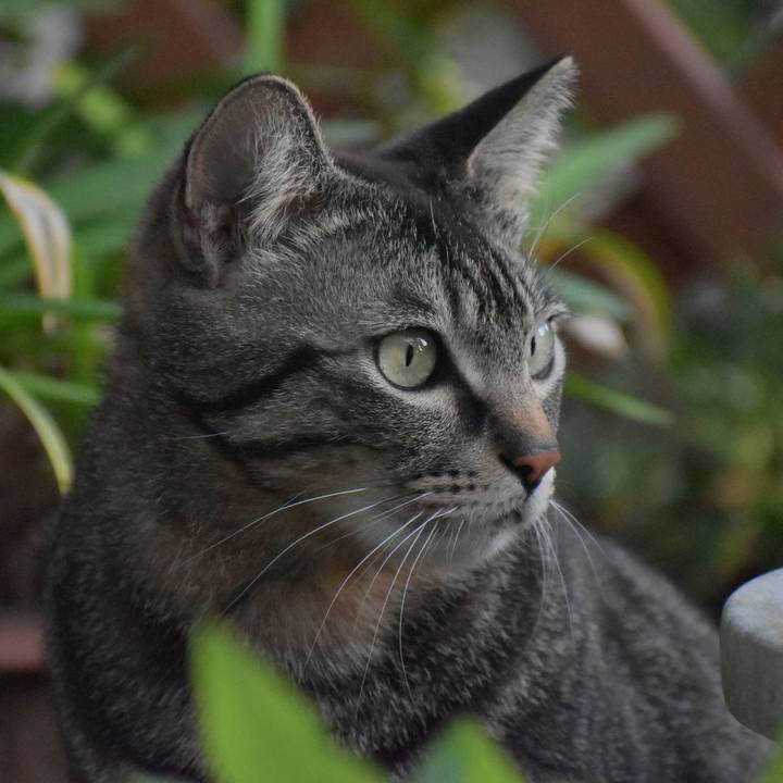 Ff8b7d0e a4bb 4700 9be5 4f06dc61f132 1523178994661