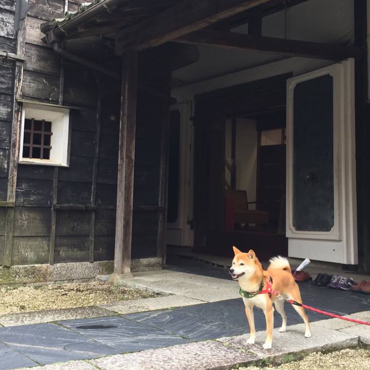 Ff8bb857 cddd 44b0 bc83 6d90a9afe0ce 1508224877668