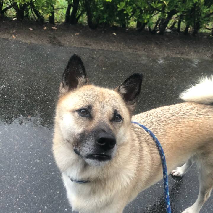 Ff8bbeff c381 4282 97a4 3636d06513e2 1566908735917