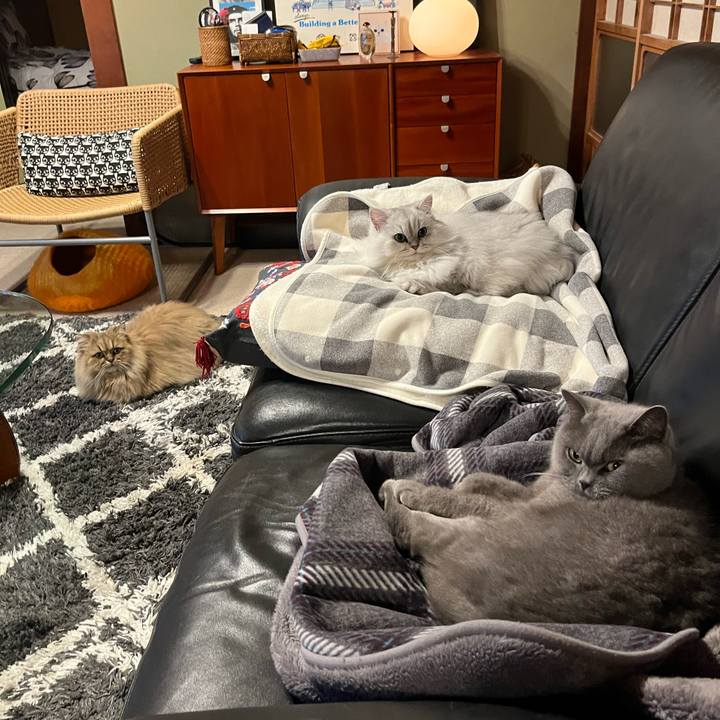 Ff8bc77e cdfc 4f8b bb7a 93792c5f9d4e 1637932161186