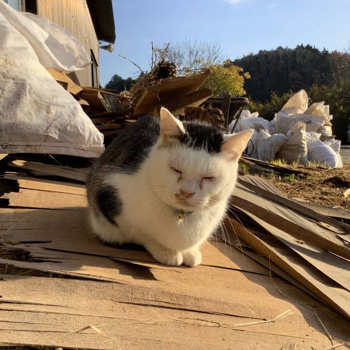 Ff8bf2b4 18c9 40d9 80c5 4b6a468412b5 1609064554154