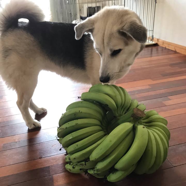 Ff8c12bb 271d 446b b744 cf9667ea14f3 1565409893673